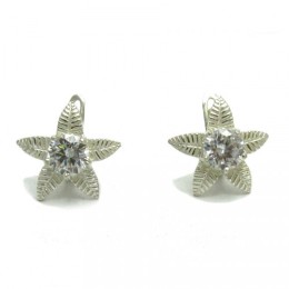 Hõbekõrvarõngad - sõnajalaõis