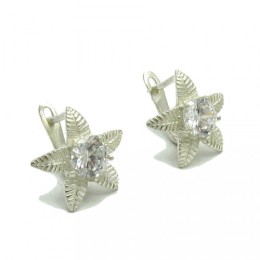 Hõbekõrvarõngad - sõnajalaõis