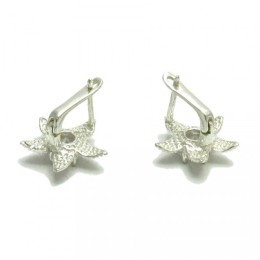 Hõbekõrvarõngad - sõnajalaõis