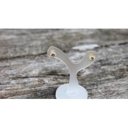 Hõbekõrvarõngad - sultaniidi ja tsirkoonidega