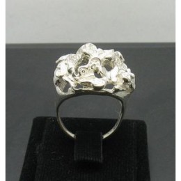 Hõbesõrmus -  liblikate kobar