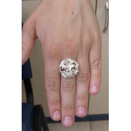 Hõbesõrmus -  liblikate kobar