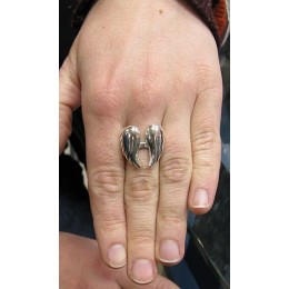 Hõbesõrmus - tiivad 2