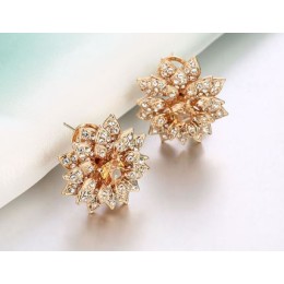 Kõrvarõngad - suured lilled, shampanja