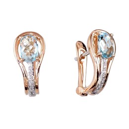 'Inglise' sulguriga kullast kõrvarõngad 1200276(Au-R+PRh-W)_DI+TZLB