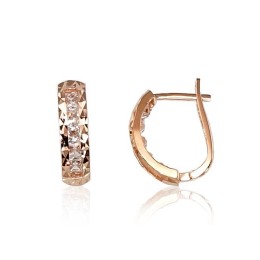 'Inglise' sulguriga kullast kõrvarõngad 1200421(Au-R)_CZ