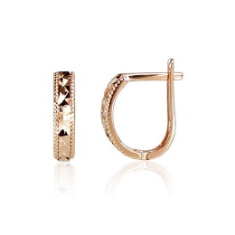 'Inglise' sulguriga kullast kõrvarõngad 1200635(Au-R)