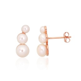 Kullast naelkõrvarõngad 1201569(Au-R)_PE