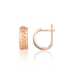 'Inglise' sulguriga kullast kõrvarõngad 1201610(Au-R)