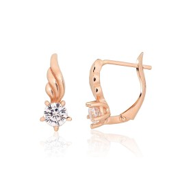 'Inglise' sulguriga kullast kõrvarõngad 1201630(Au-R)_CZ