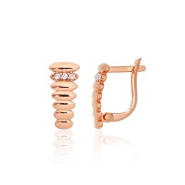 'Inglise' sulguriga kullast kõrvarõngad 1201649(Au-R)_CZ