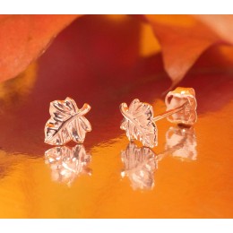 Kullast naelkõrvarõngad 1201679(Au-R)