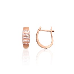 'Inglise' sulguriga kullast kõrvarõngad 1201700(Au-R)_CZ