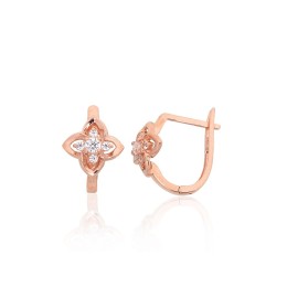 'Inglise' sulguriga kullast kõrvarõngad 1201702(Au-R)_CZ