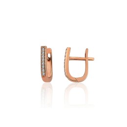 'Inglise' sulguriga kullast kõrvarõngad 1201785(Au-R)_CZ