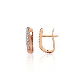 'Inglise' sulguriga kullast kõrvarõngad 1201787(Au-R)_CZ