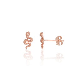Kullast naelkõrvarõngad 1201790(Au-R)