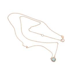 Kuldne kaelaehe 1500056(Au-R)_TZLB