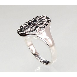 Hõbesõrmus 2100721(POx-Bk)