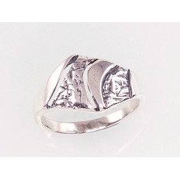 Hõbesõrmus 2100922(POx-Bk)