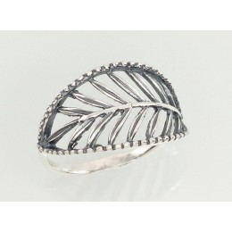 Hõbesõrmus 2101179(POx-Bk)