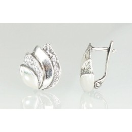 'Inglise' sulguriga hõbekõrverõngad 2201094(POx-Bk)