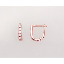 'Inglise' sulguriga hõbekõrverõngad 2202950(PAu-R)_CZ