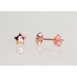 Hõbedast naelkõrvarõngad 2202962(PAu-R)