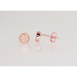 Hõbedast naelkõrvarõngad 2202966(PAu-R)_CZ