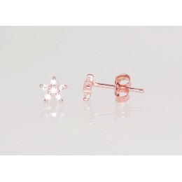 Hõbedast naelkõrvarõngad 2202968(PAu-R)_CZ