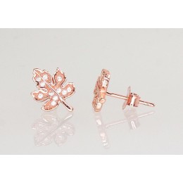 Hõbedast naelkõrvarõngad 2202969(PAu-R)_CZ