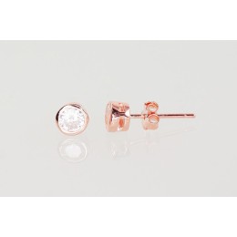 Hõbedast naelkõrvarõngad 2202991(PAu-R)_CZ