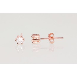 Hõbedast naelkõrvarõngad 2202998(PAu-R)_CZ