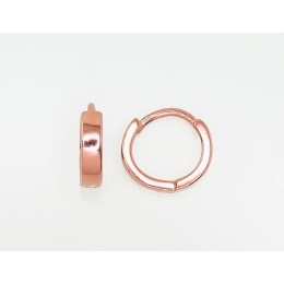 Ümmarguse kinnisega hõbekõrvarõngad 2203119(PAu-R)