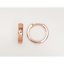 Ümmarguse kinnisega hõbekõrvarõngad 2203121(PAu-R)