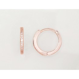 Ümmarguse kinnisega hõbekõrvarõngad 2203123(PAu-R)_CZ