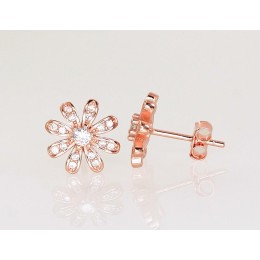 Hõbedast naelkõrvarõngad 2203128(PAu-R)_CZ