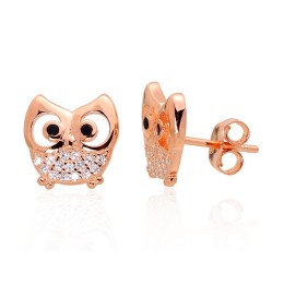 Hõbedast naelkõrvarõngad 2203478(PAu-R)_CZ+CZ-BK