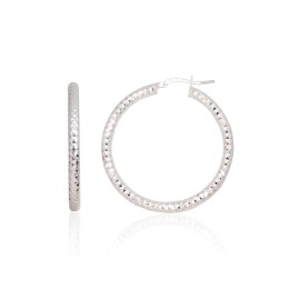 Hõbekõrvarõngad-ringikesed 2203724