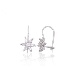 Haakidega hõbekõrvarõngad 2203829(PRh-Gr)_CZ