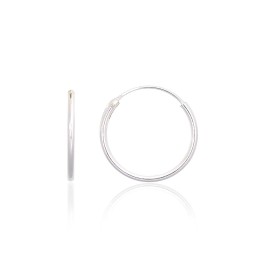 Hõbekõrvarõngad-ringikesed 2203878