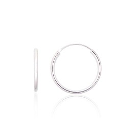 Hõbekõrvarõngad-ringikesed 2203896