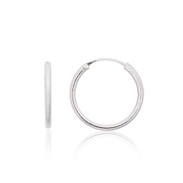 Hõbekõrvarõngad-ringikesed 2203914