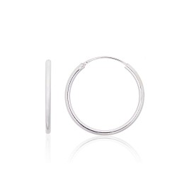 Hõbekõrvarõngad-ringikesed 2203916