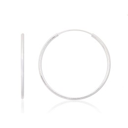 Hõbekõrvarõngad-ringikesed 2203920