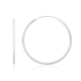 Hõbekõrvarõngad-ringikesed 2203921