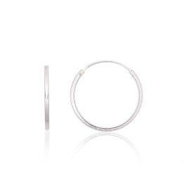 Hõbekõrvarõngad-ringikesed 2203947