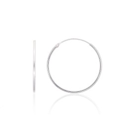 Hõbekõrvarõngad-ringikesed 2203950