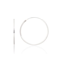 Hõbekõrvarõngad-ringikesed 2203951