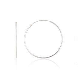 Hõbekõrvarõngad-ringikesed 2203952